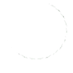 Singhal Edible Products Pvt. Ltd.